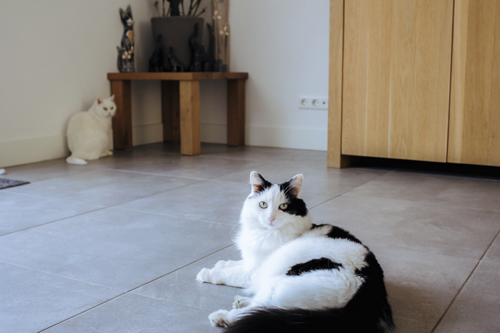 Jessica Carciotto almere duin aan het woord