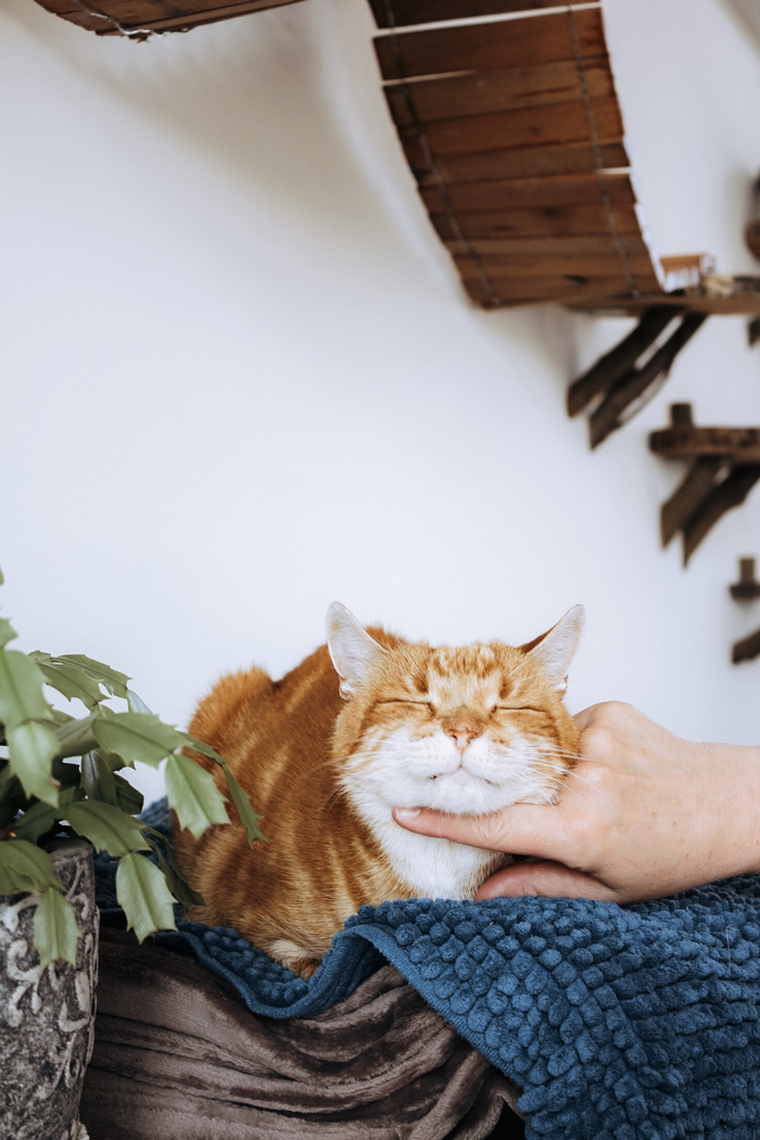 Jessica Carciotto almere duin aan het woord