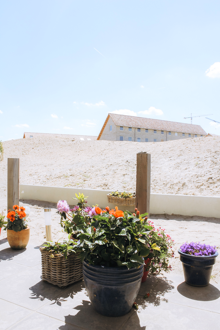 duin aan het woord jose 7