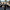 
 almere duin kopen koophuis huren appartement koopappartement almeerderstrand steel creek					