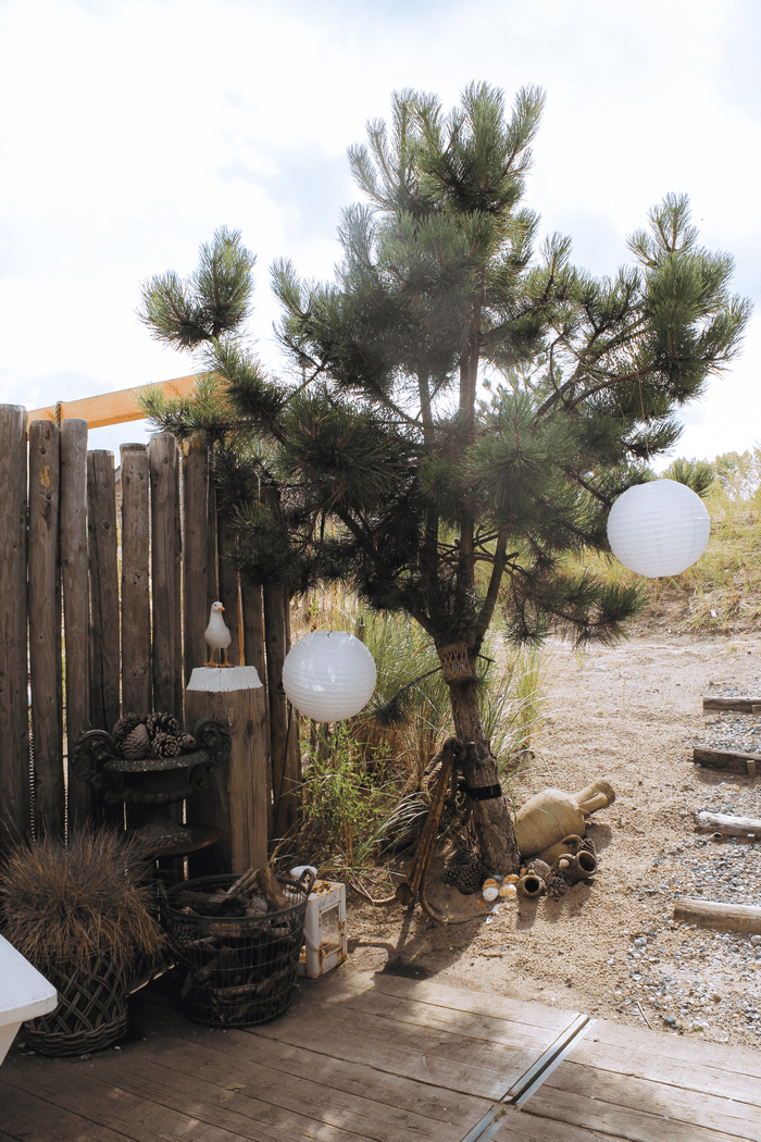 Mike Marie-Anne Bueno De Mesquita Zuiderduin almere DUIN koophuis koopwoning